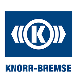 Knorr
